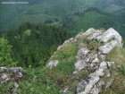 Varful Trei Pietre Drum forestier Varful Trei Pietre