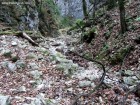 Cheia Pisicii - Piatra Craiului Cheia Pisicii 2 Cheia Pisicii Piatra Craiului