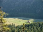 Cabana Curmatura Poiana Curmaturii Cabana Curmatura Piatra Craiului