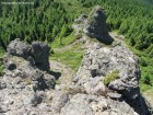 Stancile Tamau Cetate de stanca Stancile Tamau