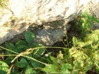 Manastirea Piatra Taieturii Dupa piatra Manastirea Piatra Taieturii