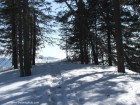 Spre punctul de belvedere Piatra Mica Bufnitei Harghita Madaras