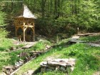 Izvorul Salus - Muntii Bodoc Izvor si parau izvor Salus Sute