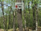 Indicator distrus Cetatea Fetei Olteni