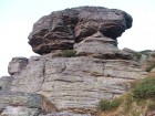 Ciuperca mare de piatra