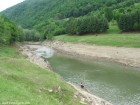 Coada lacului Lacul Poiana Uzului