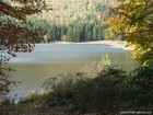 Piatra ovala - Lacul Sfanta Ana Din padure lacul sfanta ana padure