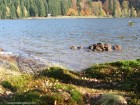Piatra ovala - Lacul Sfanta Ana Lacul Sfanta Ana toamna lacul sfanta ana toamna