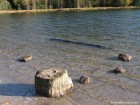 Piatra ovala - Lacul Sfanta Ana Ciot lacul sfanta ana mal ciot