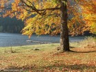 Piatra ovala - Lacul Sfanta Ana Culorile lacului lacul sfanta ana culori toamna