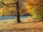 Piatra ovala - Lacul Sfanta Ana Culorile toamnei lacul sfanta ana culori toamna