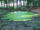 Trei Caldari Laculetul verde Muntele Cozla
