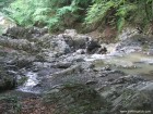 Cascada Duras - Muntii Tarcaului 7850 Cascada Duras