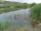 Lacul Fabricii de caramida Lacul Fabricii de caramida