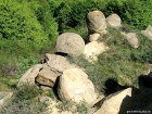Pietrele Rotunde - Chiojdu Pietre acoperite de vegetatie Pietrele Rotunde Chiojdu