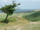 Cetatea Enisala Enisala 11 Enisala