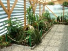 Casa fluturilor tropicali Praid Plante tropicale Casa fluturilor tropicali Praid