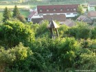 Cimitir acoperit cu tufis Cimitir acoperit cu tufis