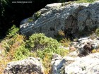 Via ferrata Pericolul Caprei - Harghita Madaras Deasupra podului via ferrata harghita madaras pericolul caprei