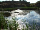 Lacul carierei Vacaresti