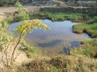 Cariera Vacaresti Lacul carierei Vacaresti lac cariera Vacaresti