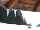 Valea paraului Oroci 9716 Soimeni valea parau Oroci Araci