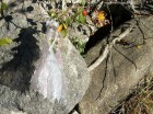 Castrul Arutela Pielea sarpelui Castrul Arutela