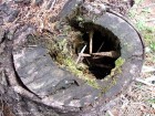 Piatra lui Kota - Muntele Iavardi Camera de tortura Piatra lui Kota Poiana Fagului Iavardi