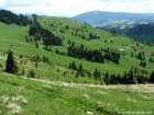 Culmea Iavardi Salasuri de vara muntele culmea Iavardi