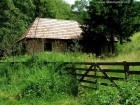Liniste vesnica Casa parasita? Liniste vesnica