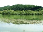 Lacul Bezidu Nou