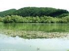 Lacul Bezidu Nou Lacul Bezidu Nou