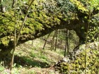 Fereastra de sub Casoaia - Androneasa Partea insorita Fereastra portal Casoaia Androneasa