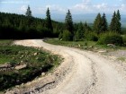 Drumul care urca din Siculeni