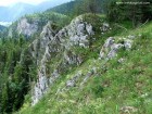 Politele Bardosului - Cheile Bicazului Politele Bardosului
