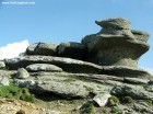 Sfinxul Pisica - Muntii Bucegi Sfinxul Pisica - 4 Sfinxul Pisica Bucegi