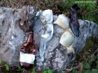 Lacul Foroja - Muntii Tarcaului Urmele unei petreceri Lacul Foroja