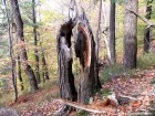 Fortareata de piatra - Piatra Soimului - Oituz Impreuna si totusi separati Piatra Soimului fortareata