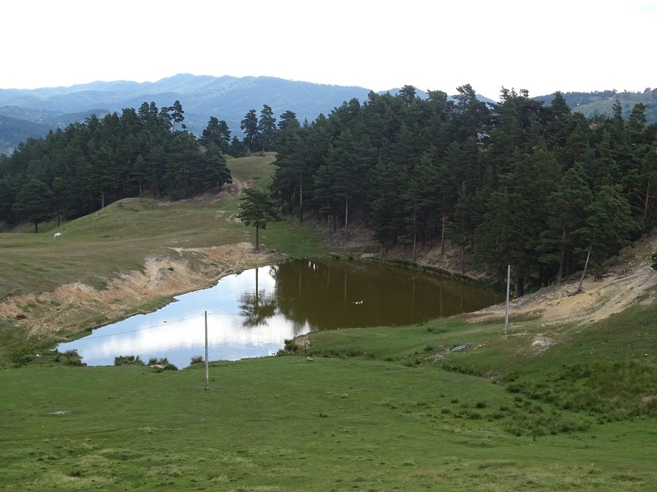 Lacul cu Ciuciur - Recea - Bisoca