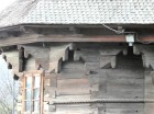 Varful Maguricea - Darmanesti Detaliu Darmanesti varful Maguricea