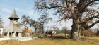 Biserica unitariana din Calnic Clopotnita si stejarul biserica unitariana Calnic