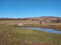 Cetatea Vartej - Aninoasa Habitat cetatea Fergettyu Aninoasa