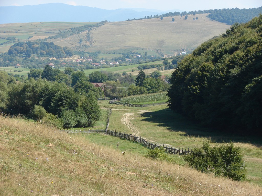 Cetatea Viezurei - Valea Mica