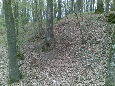 Cetatea Heret Malnas