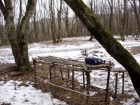 Imprejurimile izvorului Recea Imprejurimile izvorului Recea