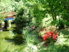 Lumea pierduta din gradina botanica Grădina japoneză 2