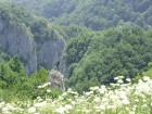 Panoram 
