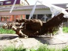 Mîna de fier al destinului Mîna de fier al destinului