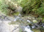 Cheile Borzesti Cheile Borzesti - Vedere de sus de la cea mai mare cascada Cheile Borzesti