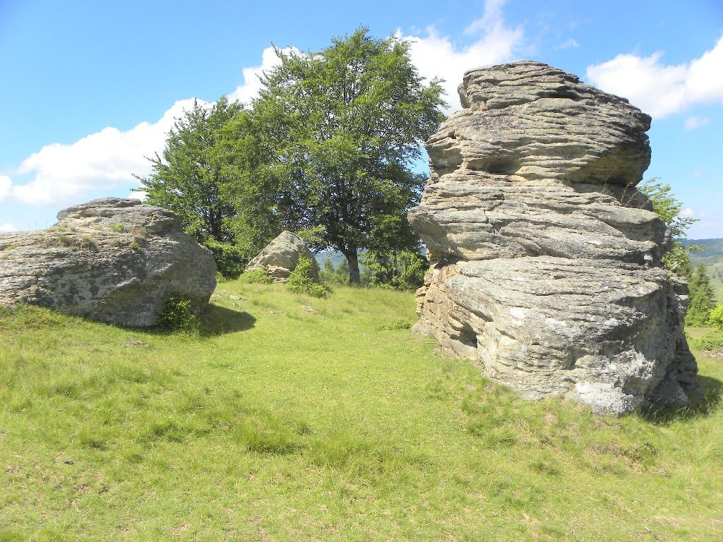 Poza de grup Stogul de Piatra - Estelnic
